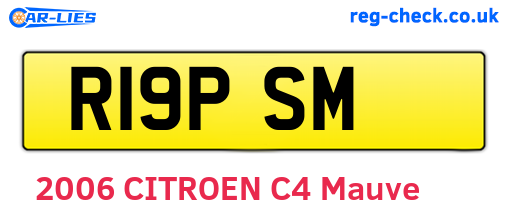 R19PSM are the vehicle registration plates.