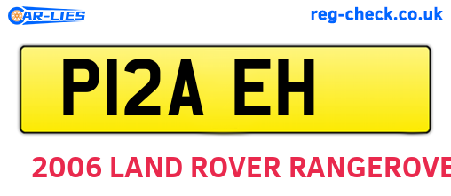 P12AEH are the vehicle registration plates.