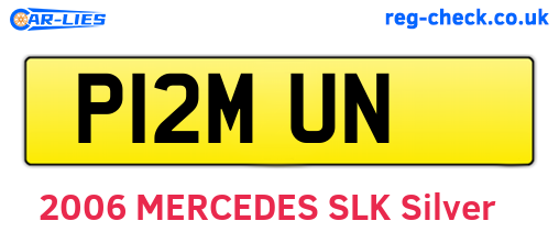 P12MUN are the vehicle registration plates.