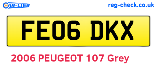 FE06DKX are the vehicle registration plates.