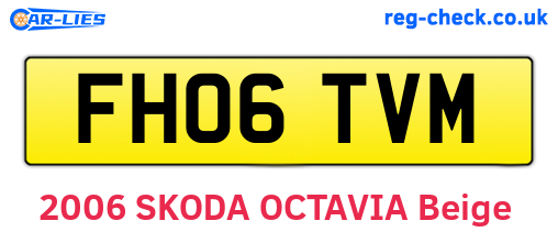 FH06TVM are the vehicle registration plates.