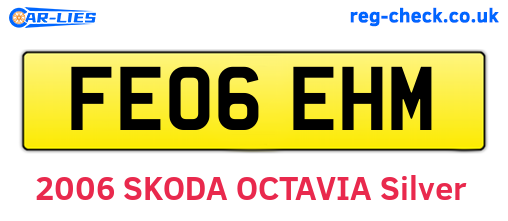 FE06EHM are the vehicle registration plates.