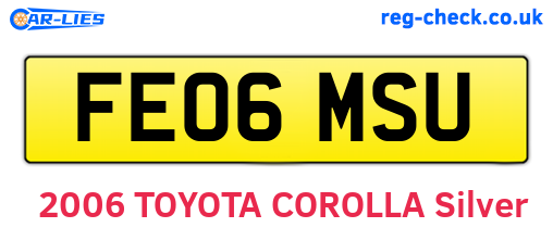 FE06MSU are the vehicle registration plates.