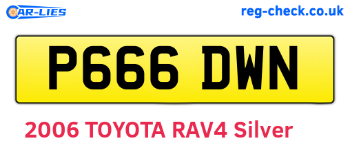 P666DWN are the vehicle registration plates.