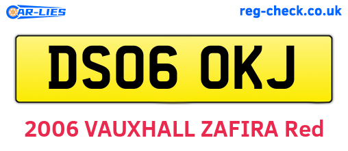 DS06OKJ are the vehicle registration plates.