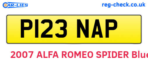 P123NAP are the vehicle registration plates.