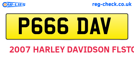 P666DAV are the vehicle registration plates.
