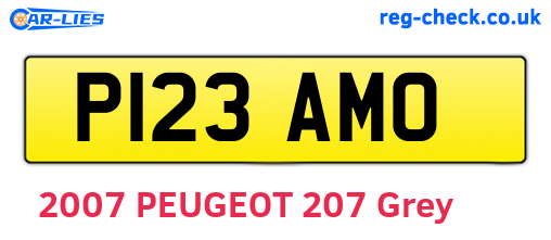 P123AMO are the vehicle registration plates.