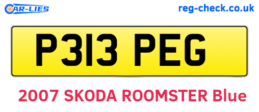 P313PEG are the vehicle registration plates.