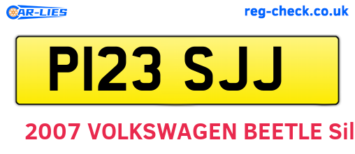 P123SJJ are the vehicle registration plates.