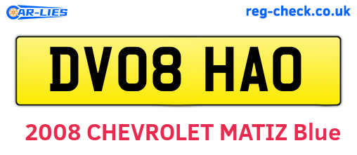 DV08HAO are the vehicle registration plates.