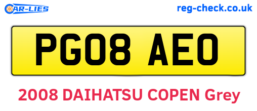 PG08AEO are the vehicle registration plates.
