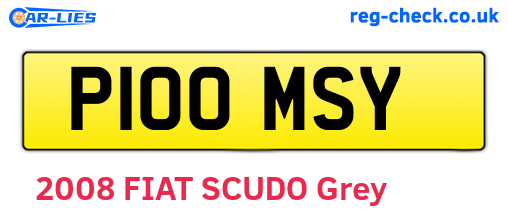 P100MSY are the vehicle registration plates.