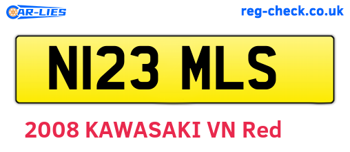 N123MLS are the vehicle registration plates.