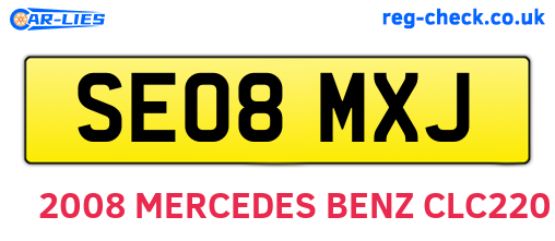 SE08MXJ are the vehicle registration plates.