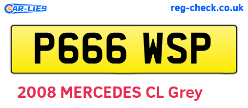P666WSP are the vehicle registration plates.