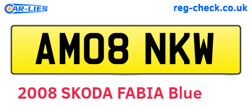 AM08NKW are the vehicle registration plates.