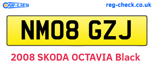 NM08GZJ are the vehicle registration plates.