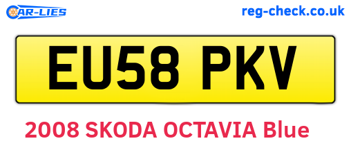 EU58PKV are the vehicle registration plates.