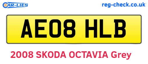 AE08HLB are the vehicle registration plates.