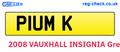 P1UMK are the vehicle registration plates.
