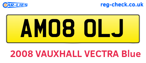 AM08OLJ are the vehicle registration plates.