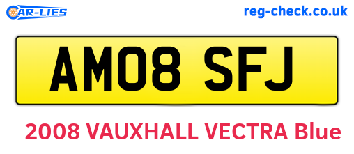 AM08SFJ are the vehicle registration plates.