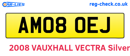 AM08OEJ are the vehicle registration plates.