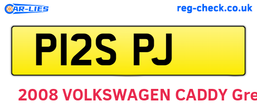 P12SPJ are the vehicle registration plates.