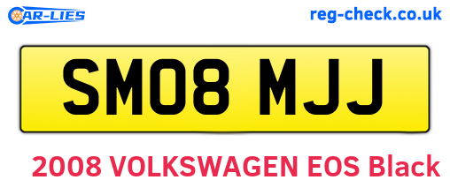 SM08MJJ are the vehicle registration plates.