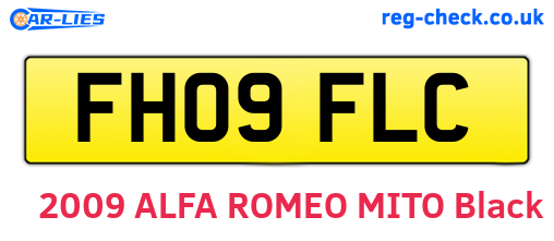 FH09FLC are the vehicle registration plates.
