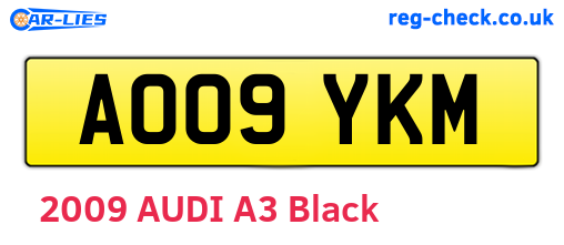 AO09YKM are the vehicle registration plates.