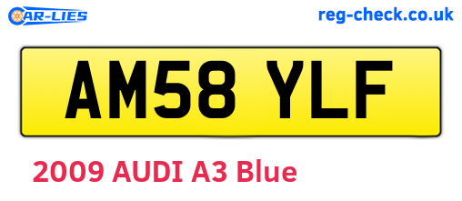 AM58YLF are the vehicle registration plates.