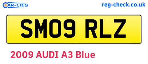 SM09RLZ are the vehicle registration plates.