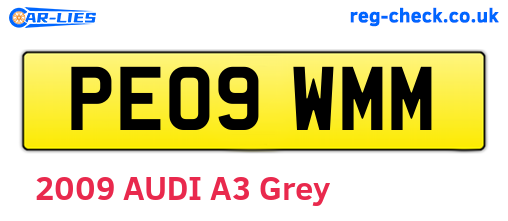 PE09WMM are the vehicle registration plates.