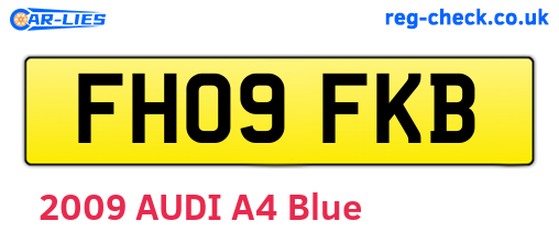 FH09FKB are the vehicle registration plates.