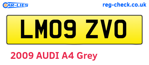 LM09ZVO are the vehicle registration plates.