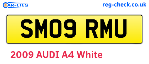 SM09RMU are the vehicle registration plates.