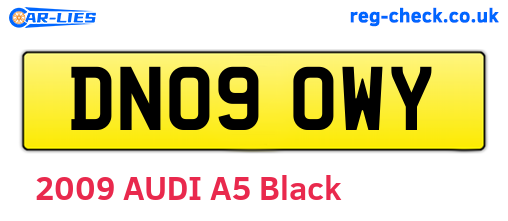DN09OWY are the vehicle registration plates.