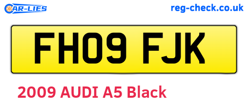 FH09FJK are the vehicle registration plates.