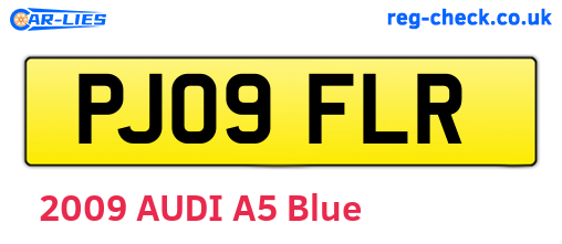 PJ09FLR are the vehicle registration plates.