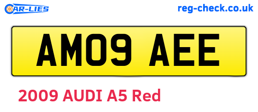 AM09AEE are the vehicle registration plates.