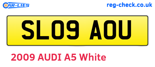 SL09AOU are the vehicle registration plates.