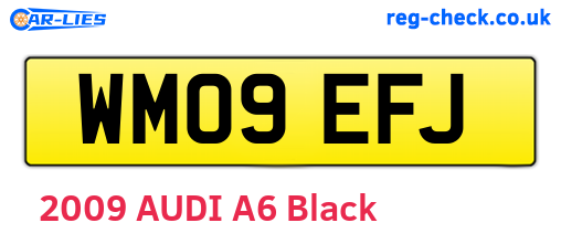 WM09EFJ are the vehicle registration plates.