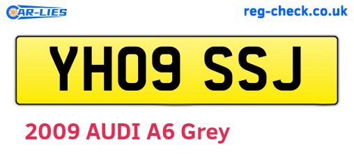 YH09SSJ are the vehicle registration plates.