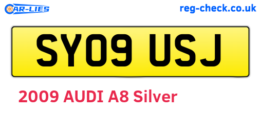 SY09USJ are the vehicle registration plates.