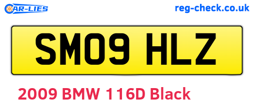 SM09HLZ are the vehicle registration plates.