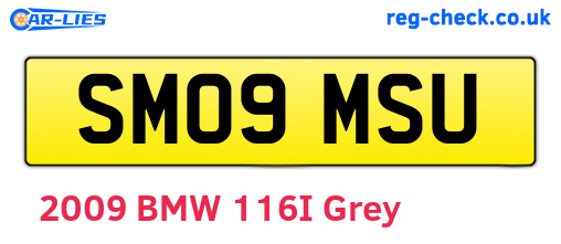 SM09MSU are the vehicle registration plates.