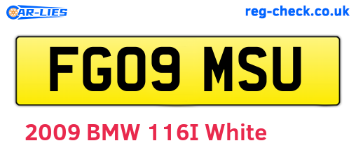 FG09MSU are the vehicle registration plates.