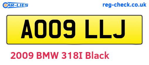 AO09LLJ are the vehicle registration plates.